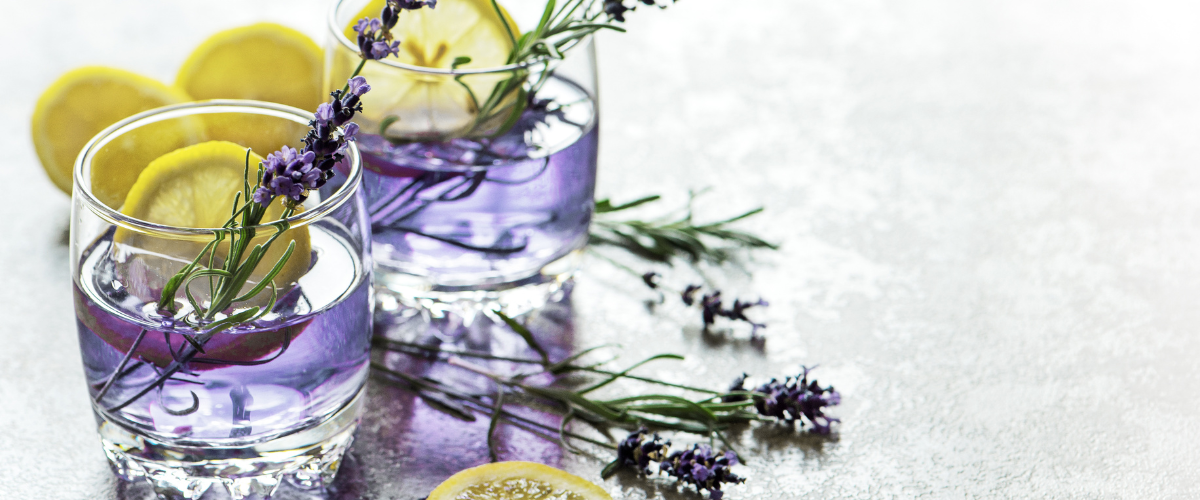 Two rocks glasses, a purplish hue in each, lemon slices and lavender sprigs