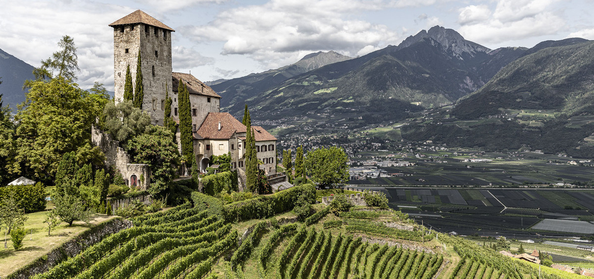 A castle and vineyard in the mountains of Alto Adige