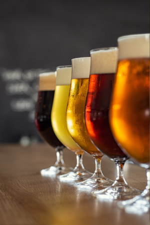 4 shades of draught beer lined up on a bar