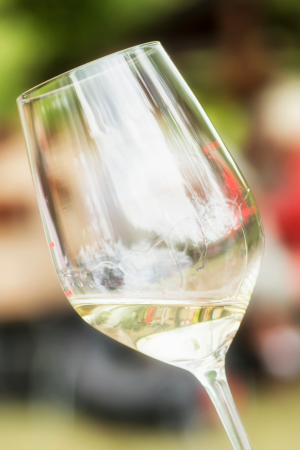 A glass of white wine